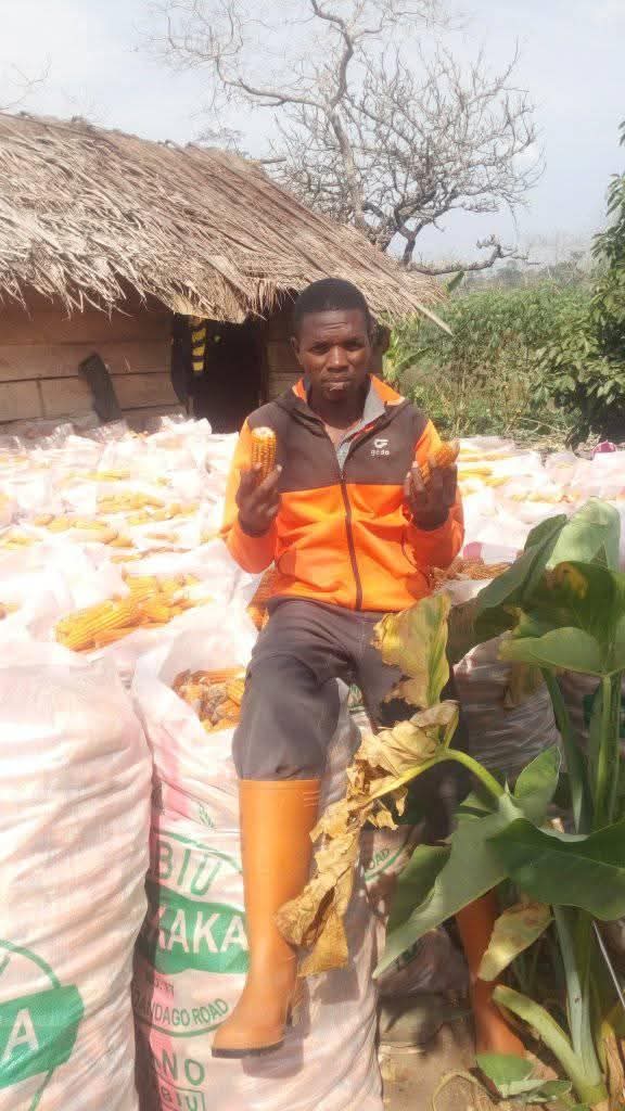 Tata BAKARY, l'entrepreneur agricole vanté par le Président Paul Biya
