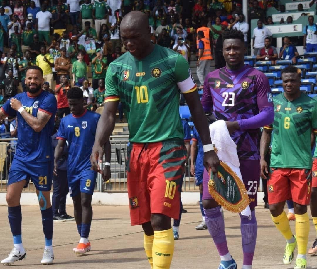 Les Lions Indomptables